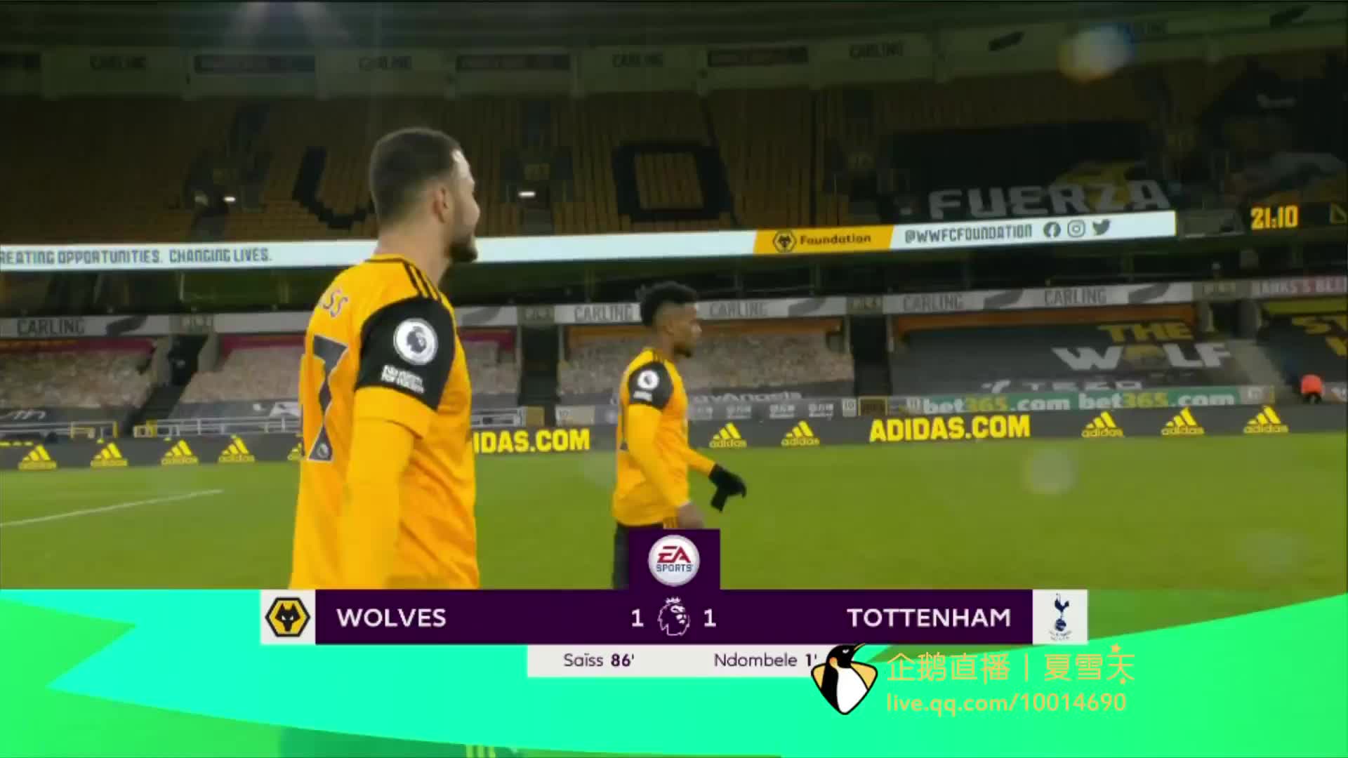 科隆需要引 科隆需要引